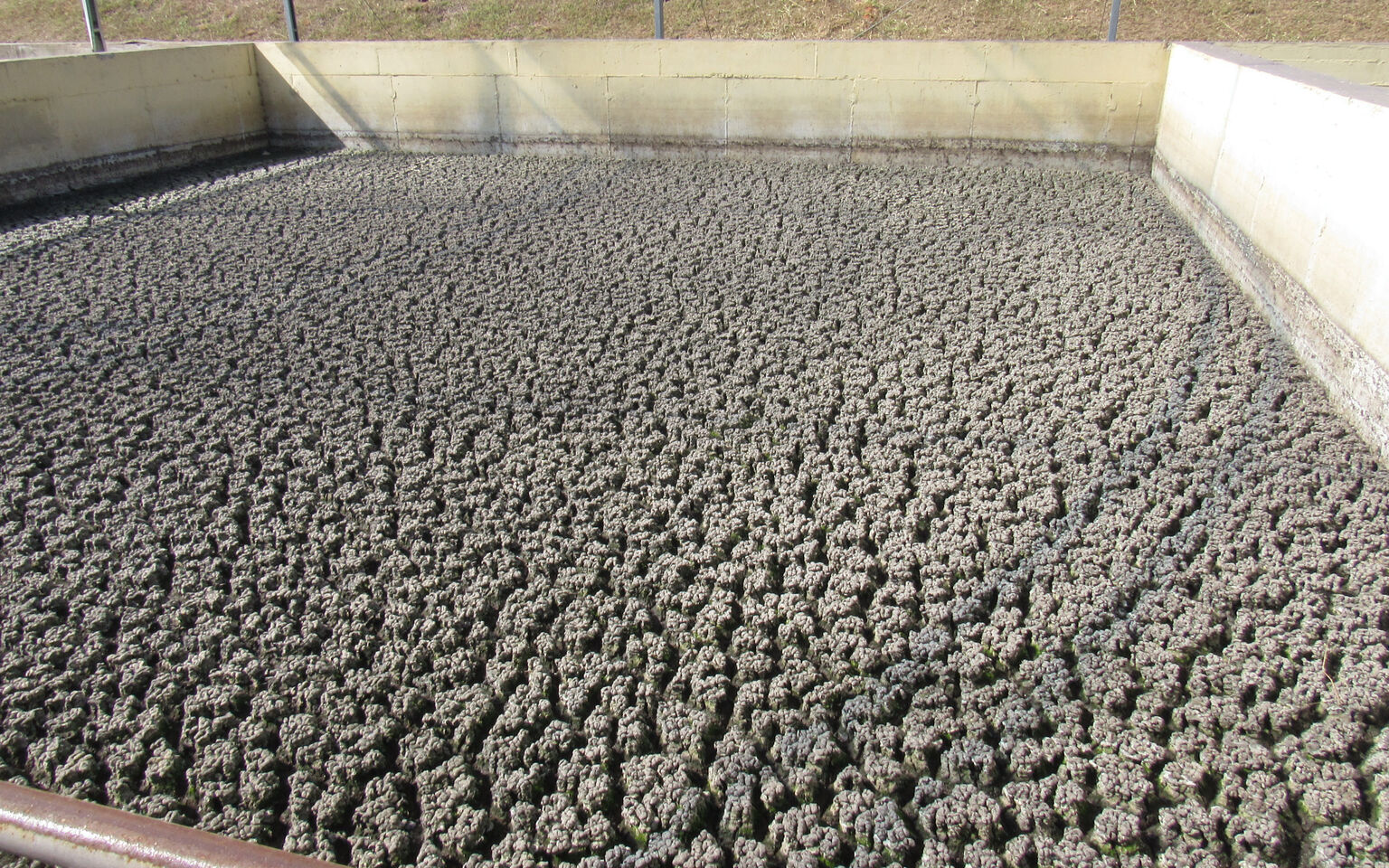 Sludge Treatment The Anaerobic Digestion Process Sludge Processing