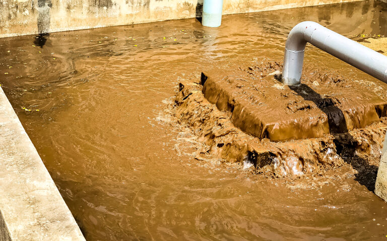 brown sludge in kitchen sink pipes