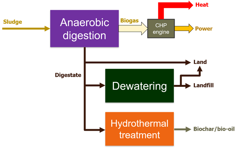 Flowsheet showing how anaerobic integrates with downstream processes of dewatering and hydrothermal treatment of the digestate stream, along with combined heat and power (CHP) for the biogas, for resource recovery