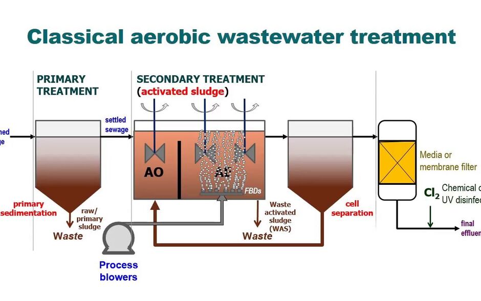 Conventional Activated Sludge Cas Process Sludge Processing 8036