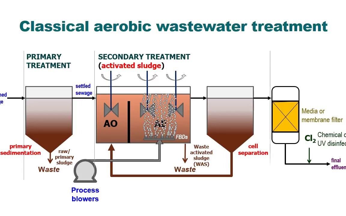 Conventional Activated Sludge (CAS) Process | Sludge Processing